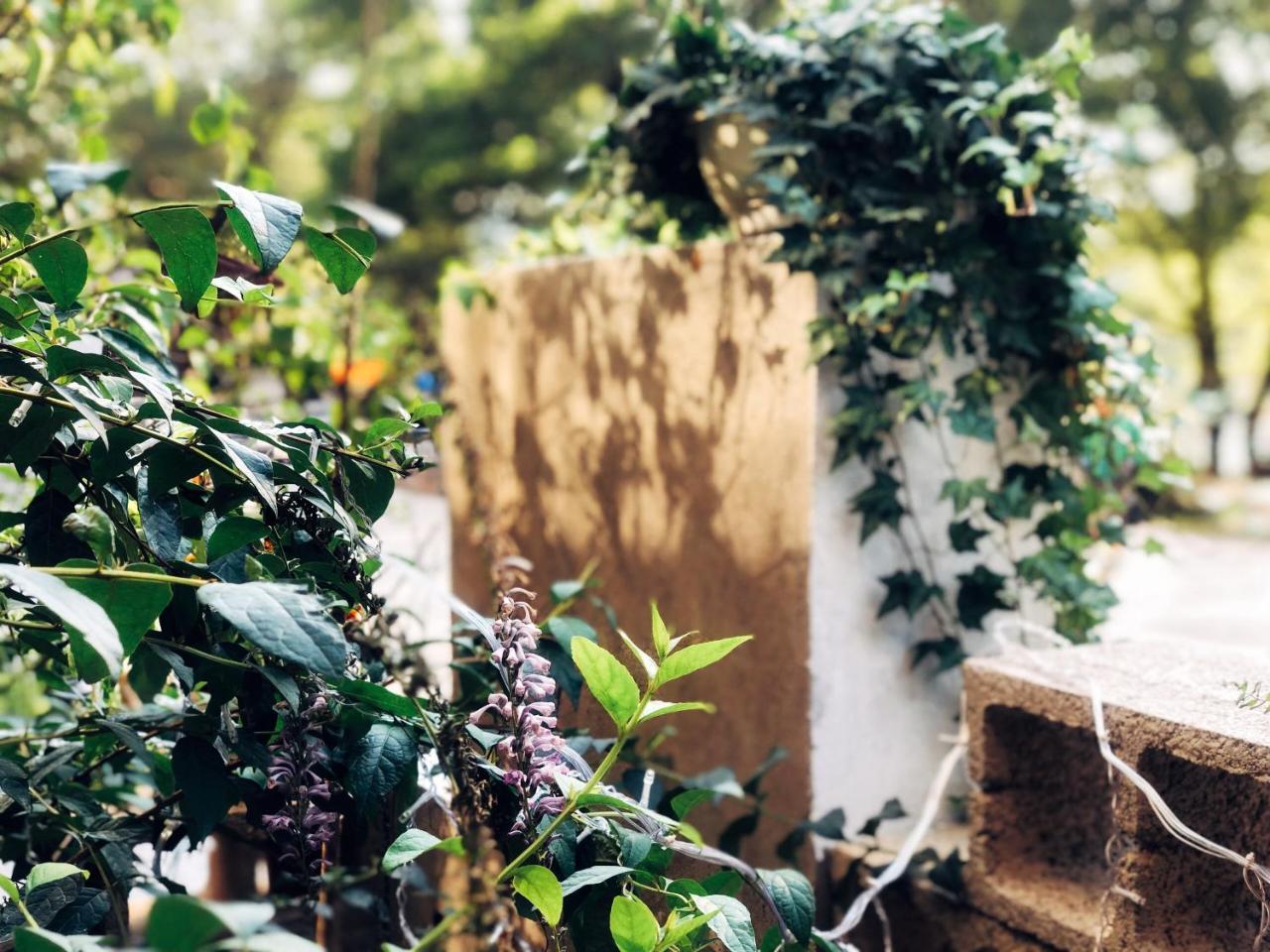 Ancient Street No.5 Youth Chic Hotel หวู่ยี่ฉาน ภายนอก รูปภาพ
